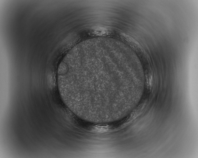 X0000093480606200711091628