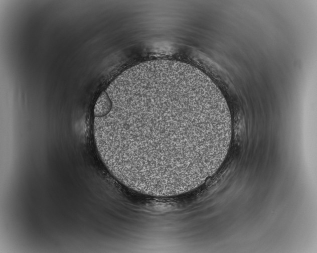 X0000093480608200711091628