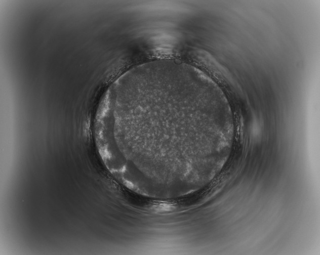 X0000093480610200711091627
