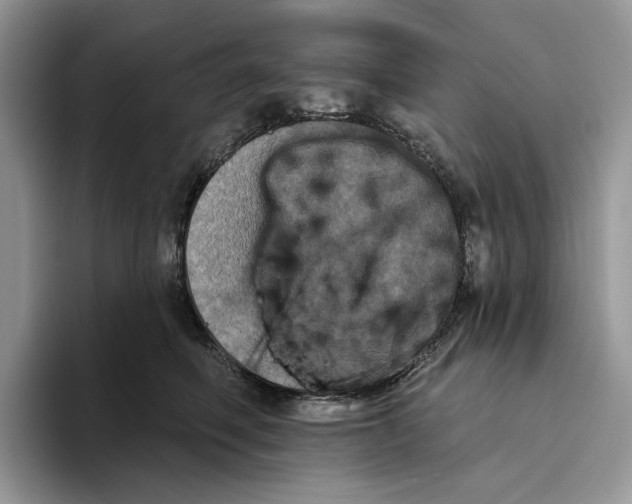 X0000093480614200711091627