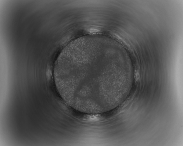 X0000093480618200711091627