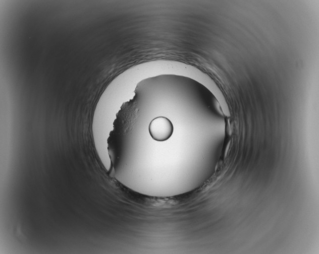 X0000093480621200711091627