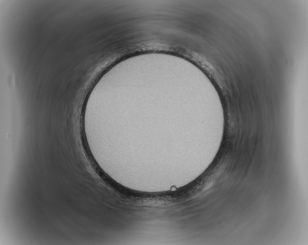 X0000093480625200711091627