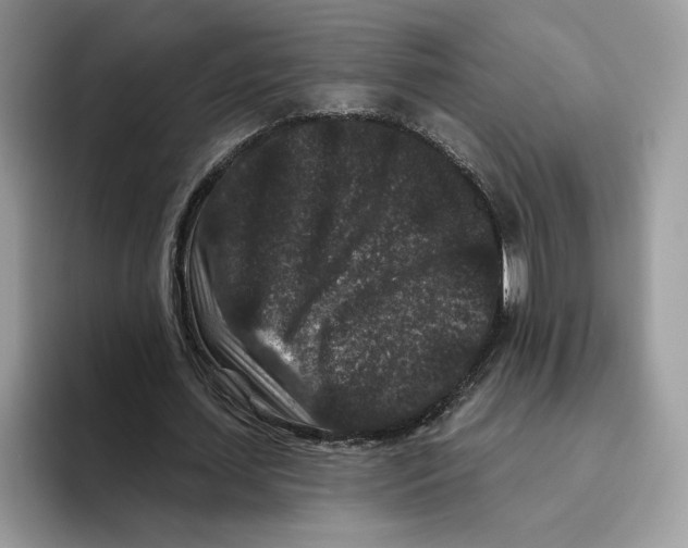 X0000093480627200711091627