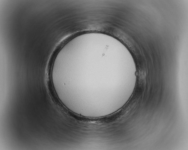 X0000093480628200711091627