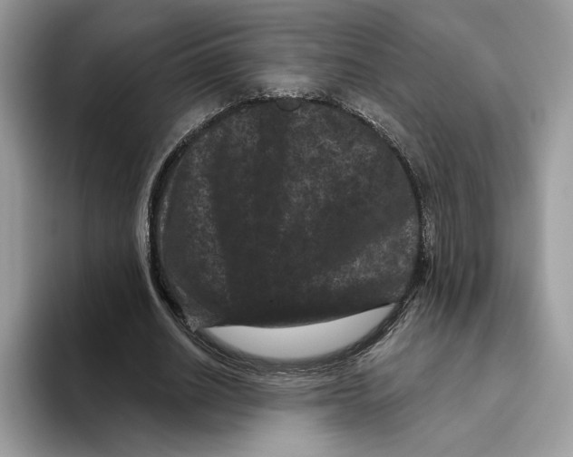 X0000093480630200711091627