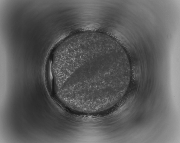 X0000093480634200711091627