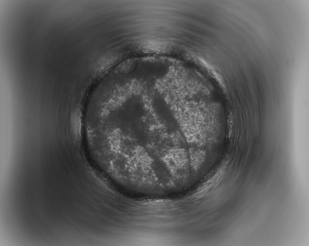 X0000093480637200711091627
