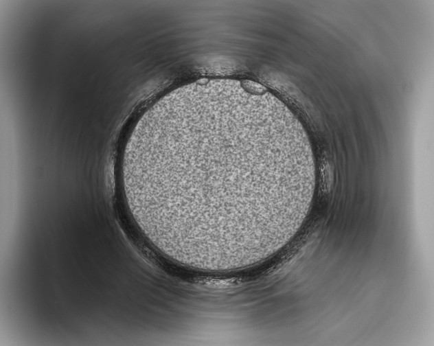 X0000093480638200711091627