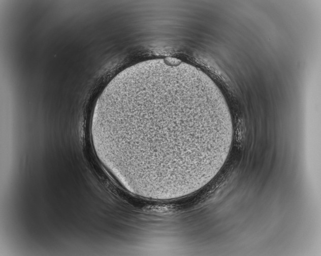 X0000093480639200711091627