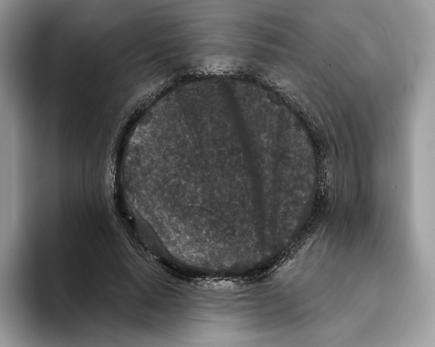 X0000093480640200711091627