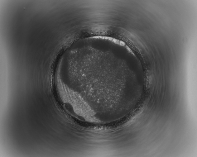X0000093480641200711091627