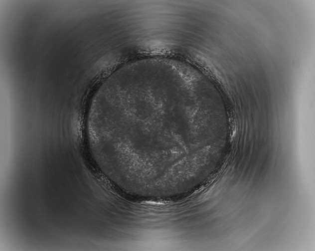 X0000093480643200711091627