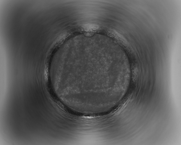 X0000093480644200711091627