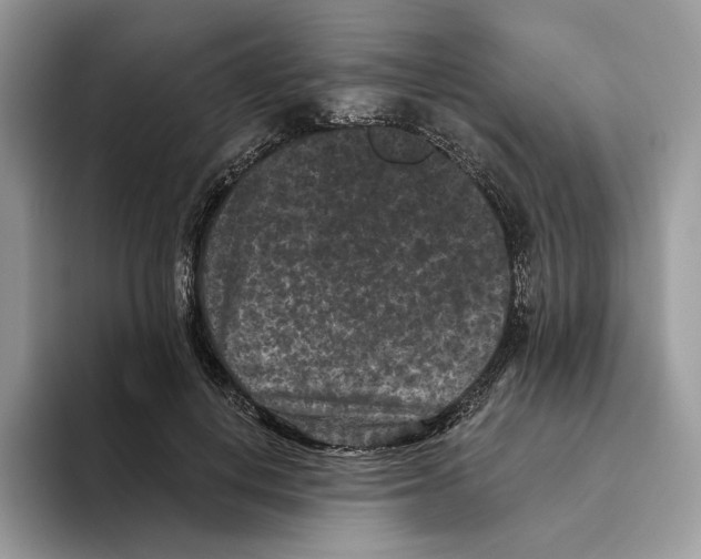 X0000093480648200711091627