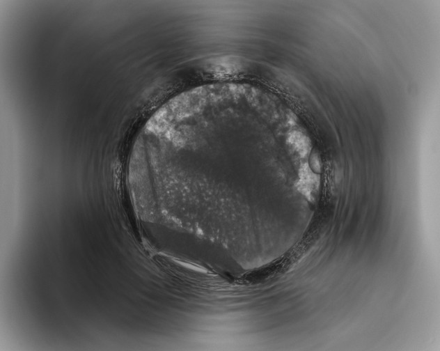 X0000093480650200711091627