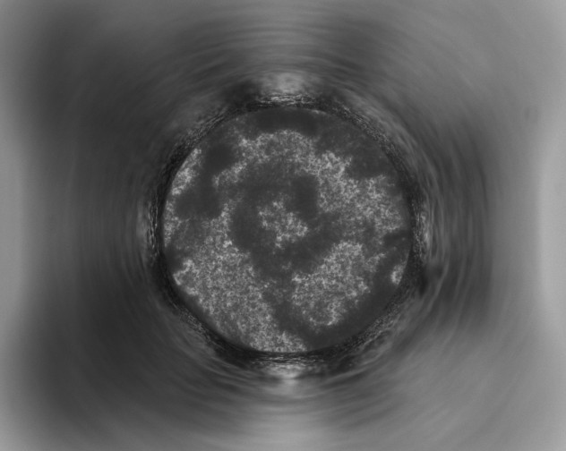 X0000093480653200711091627