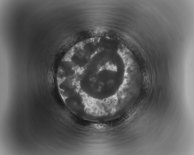 X0000093480654200711091627