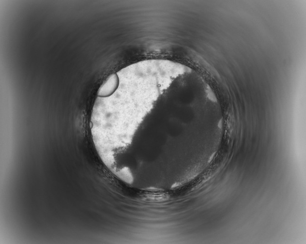 X0000093480659200711091627