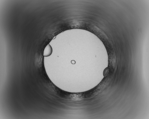 X0000093480660200711091627