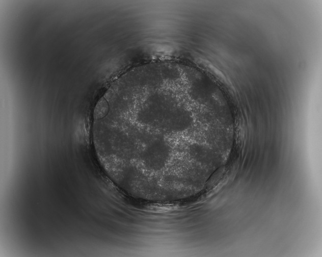 X0000093480661200711091627