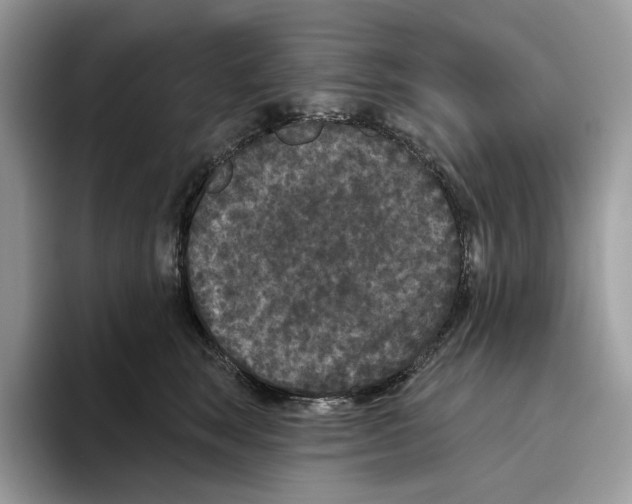 X0000093480663200711091627