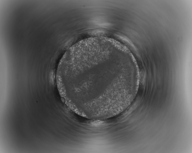 X0000093480669200711091627