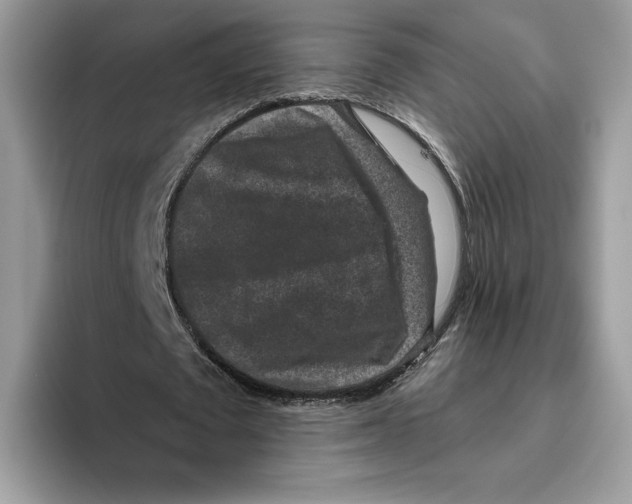 X0000093480673200711091627