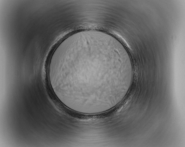 X0000093480674200711091627