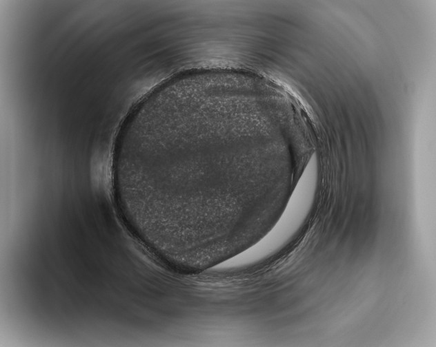 X0000093480677200711091627