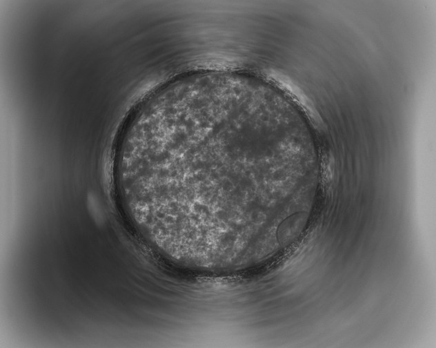 X0000093480679200711091626