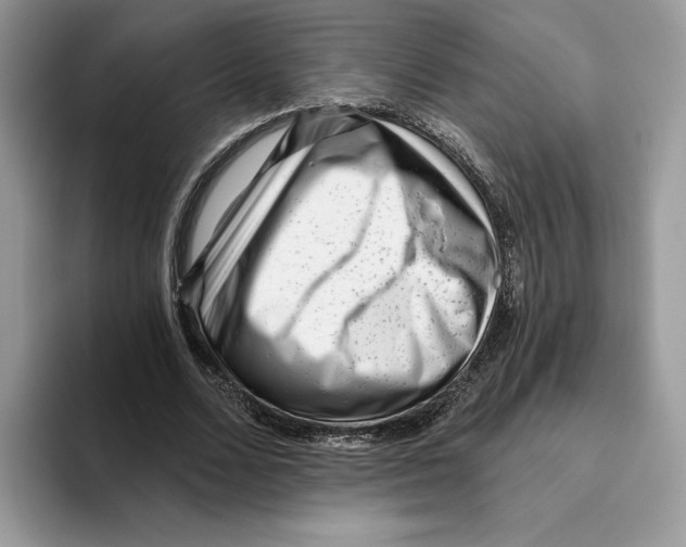 X0000093480680200711091626