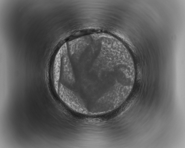 X0000093480681200711091626