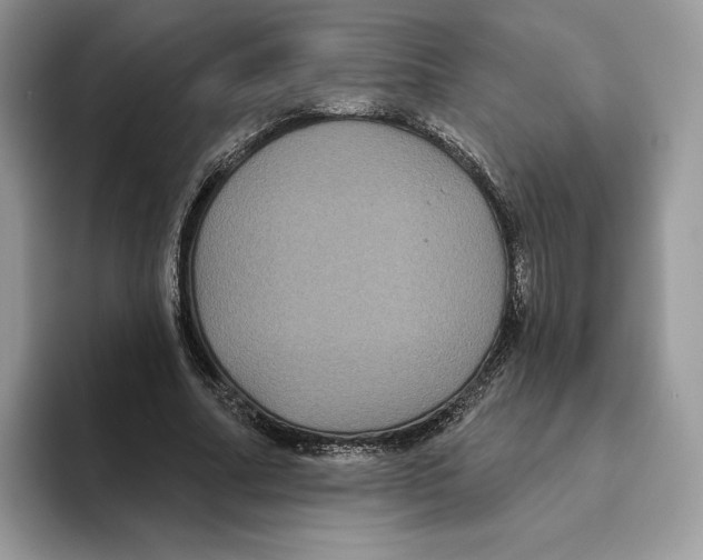 X0000093480682200711091626
