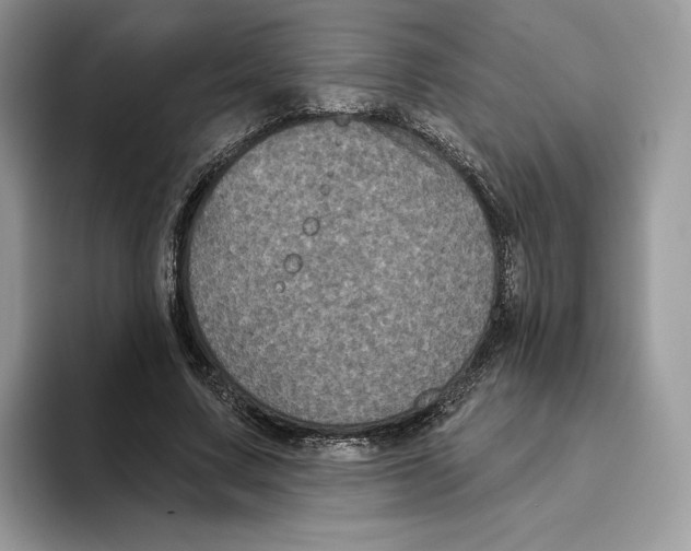 X0000093480683200711091626