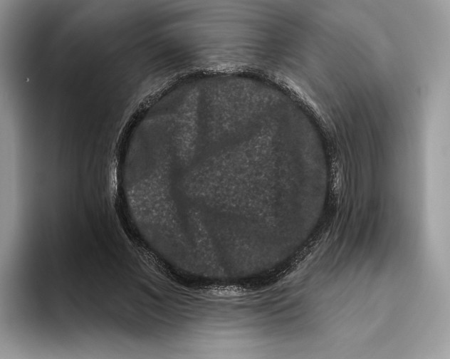 X0000093480685200711091626