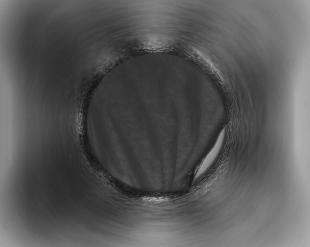 X0000093480689200711091626