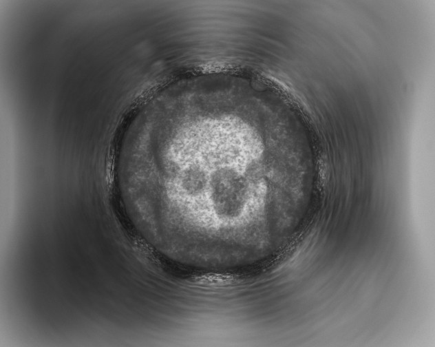 X0000093480691200711091626