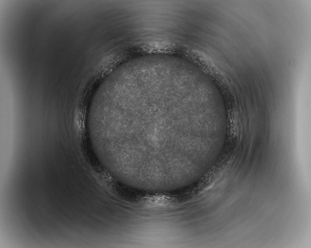 X0000093480695200711091626