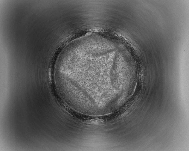 X0000093480696200711091626