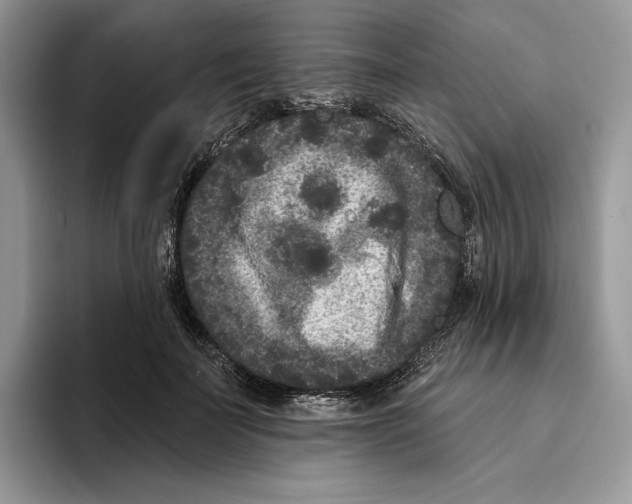 X0000093480699200711091626