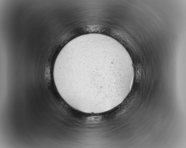 X0000093480700200711091626