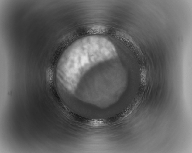 X0000093480701200711091626