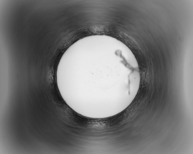 X0000093480702200711091626