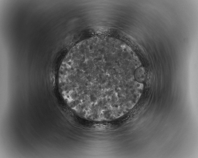 X0000093480703200711091626