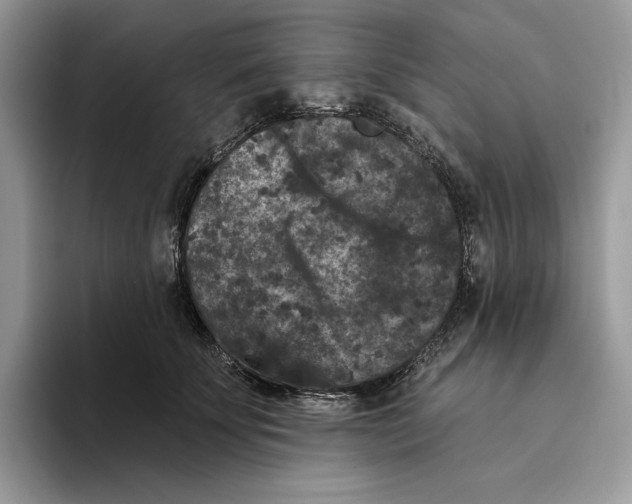 X0000093480707200711091626