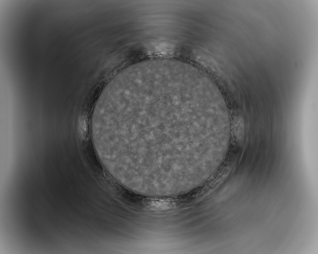 X0000093480709200711091626