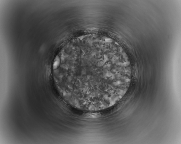 X0000093480711200711091626