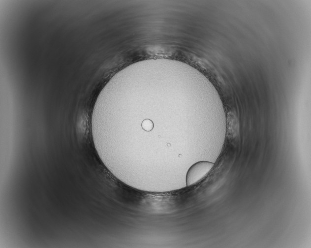 X0000093480713200711091626