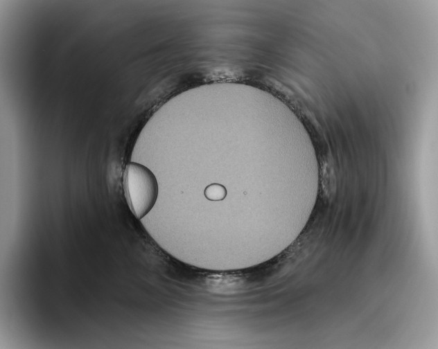 X0000093480714200711091626